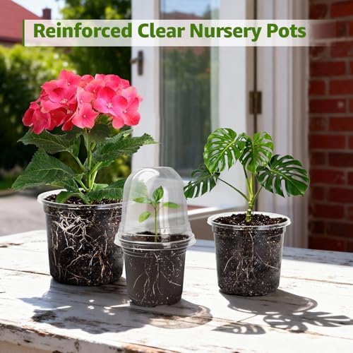 MIXC Clear Nursery Pots with Drainage Holes, 8/6/5/4/3.5 Inch 20 Pack