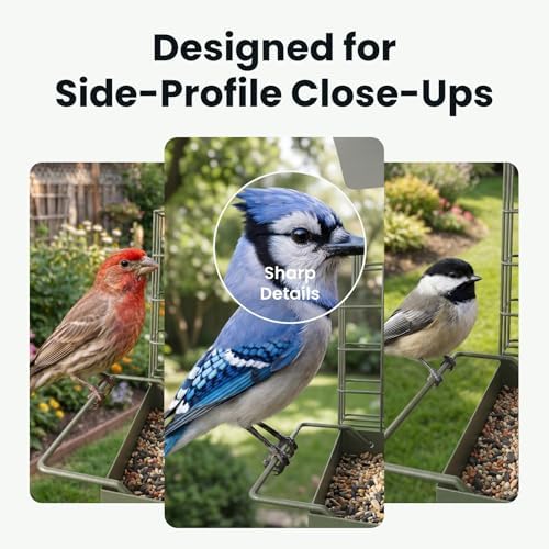 Birdfy Smart Bird Feeder with Camera Solar Powered, Gift for Bird Lovers
