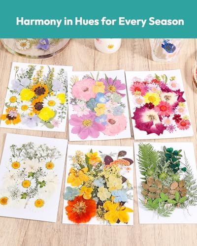 Dried Flowers, Resiners 174Pcs Pressed Flowers for Craft Pink Real Natural Dried Flowers Dry Leaves Kit for DIY Making Crafts Resin Soap Candle Scrapbook Supplies Card Making Jewelry