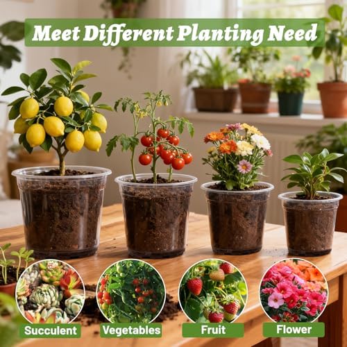 12 Pack 4/6/8/10 Inch Clear Nursery Pots for Plants, Large Size Nursery Pot
