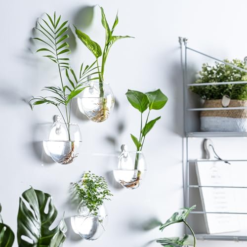Wall Mount Plant Propagation Station - Clear Hydroponic Glass Vase, Oblate Planter for Indoor Plants | Perfect for Home, Office, Bathroom Decor | Gift for Plant Lovers (4)