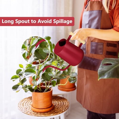 Watering Can Indoor Plants, 35oz Small Stainless Steel Metal Watering Can Modern Decorative Watering Pot with Long Spout for Indoor House Plant Bonsai Garden Flowers (Red)