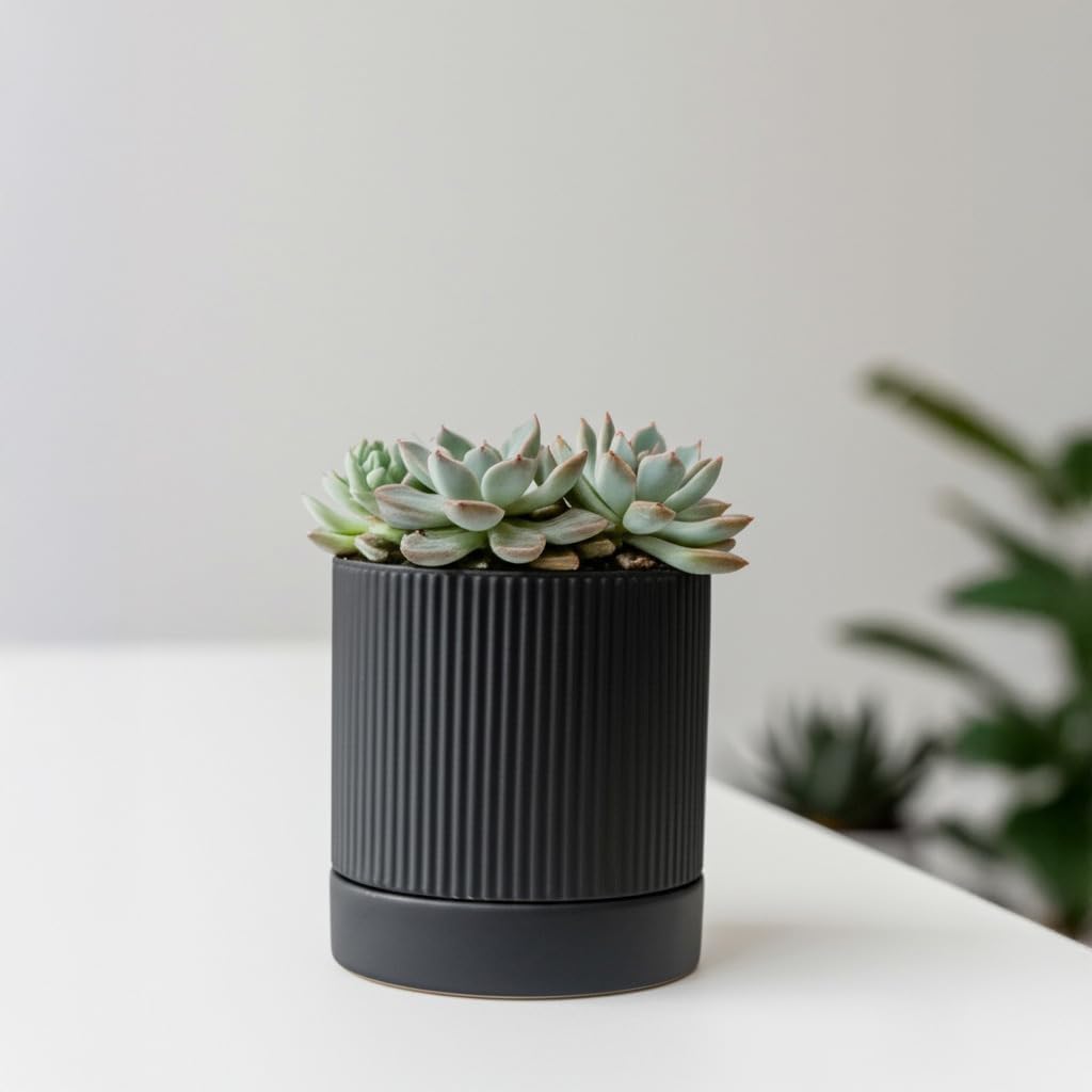 HERDUK Small Plant Pots, 4 Inch Pots for Indoor Plants, Modern Minimalist Ceramic Plant Pots with Drainage Hole &