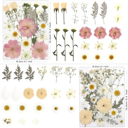 LUXEEASE 80P White Pink Dried Pressed Flowers