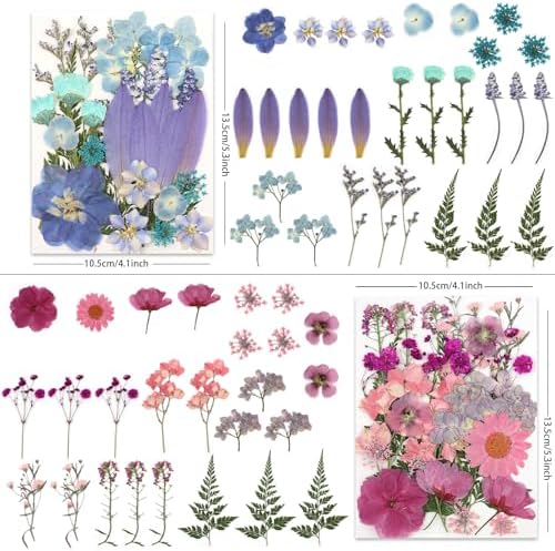 LUXEEASE 4 Color 110P Long Stem Dried Pressed Flowers