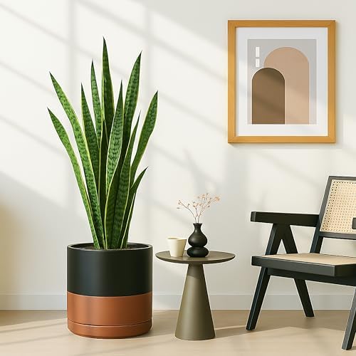 D'vine Dev 12 Inch Ceramic Planter Pot, Black/Tan, 94-O-F-7