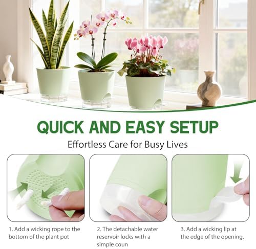 Self Watering Pots for Plants, 2026 New Flower Plant Pots with Drainage Holes, Wicking and Clear Reservoirs for Succulent, Aloe, Cacti and Others - 6 Pack (Green, 5")