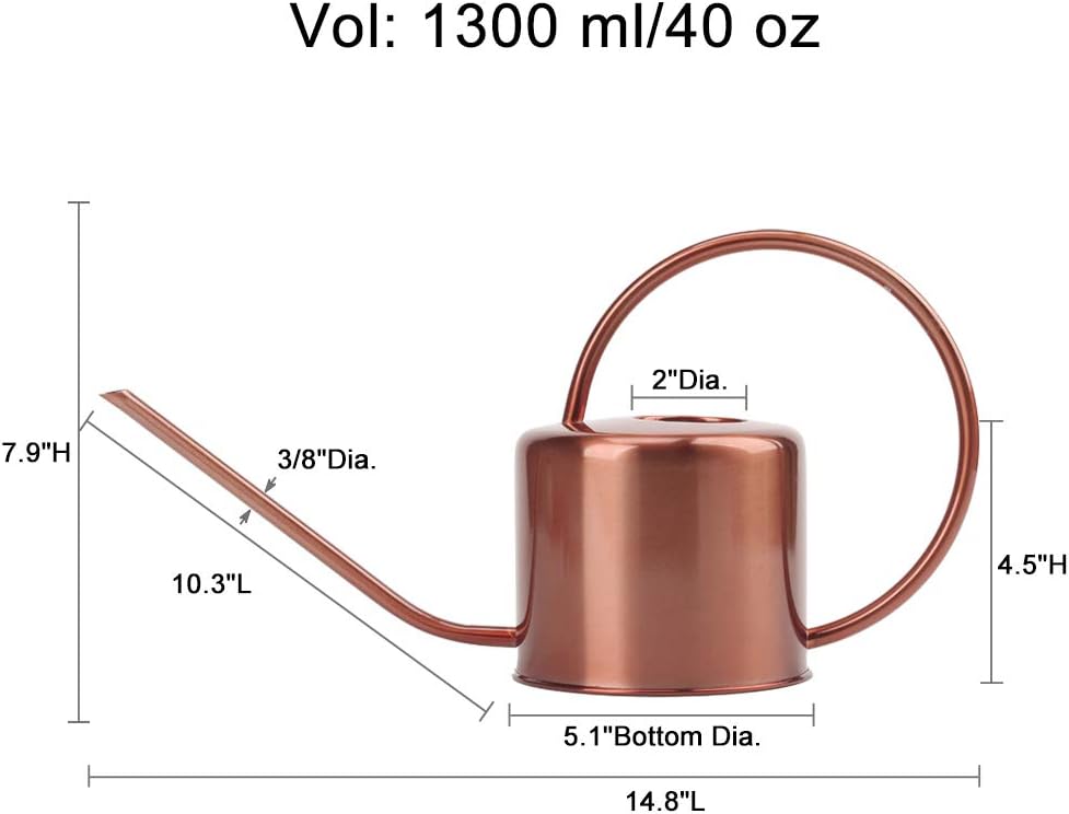 Remiawy Watering Can Indoor Outdoor Stainless Steel Watering Cans for House Plants Long Spout Water Can for Succulent