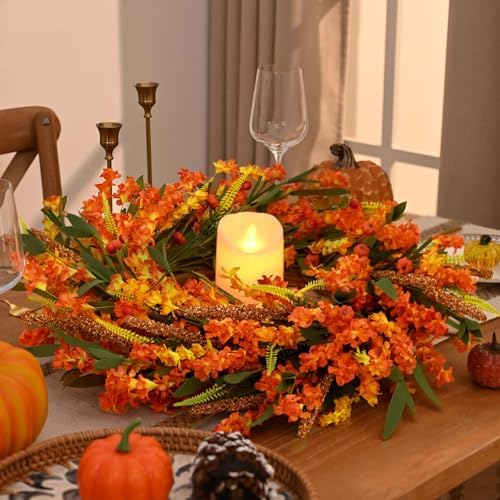 Waipfaru 24 Inch Fall Wreaths for Front Door Outside