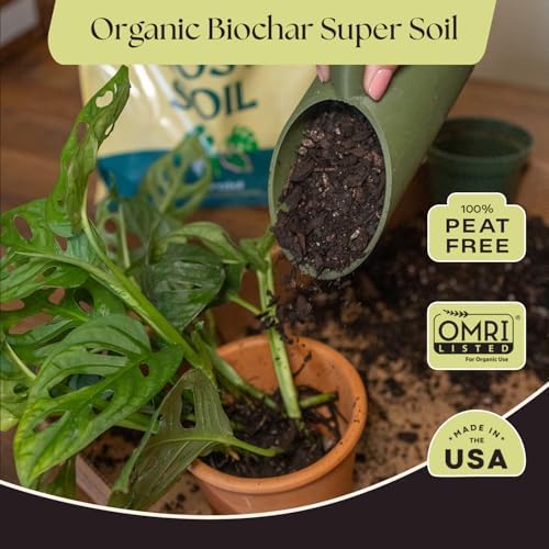 Rosy Soil Aroid Soil Mix, Chunky Biochar Potting Mix, 4 Quarts