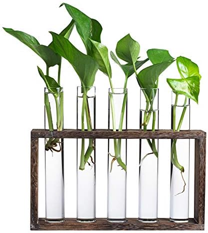 5 Tube Wooden Plant Propagation Station, Tabletop Glass Terrarium Holder for Cuttings Hydroponics, Home Office Desk Decor Gift for Women Mom Plant Lovers, Brown