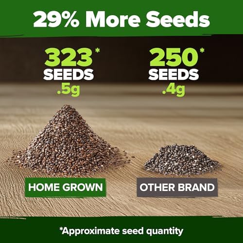 HOME GROWN White Sage Seeds, 323 Seeds, Salvia apiana