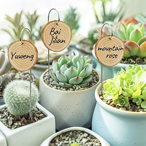 Temlum Wooden Plant Labels for Indoor & Outdoor Plants, 25pcs