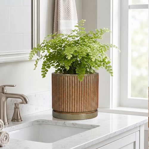 Ceramic Plant Pots, 8 Inch Planter, Round Plant Pot, Retro Brown