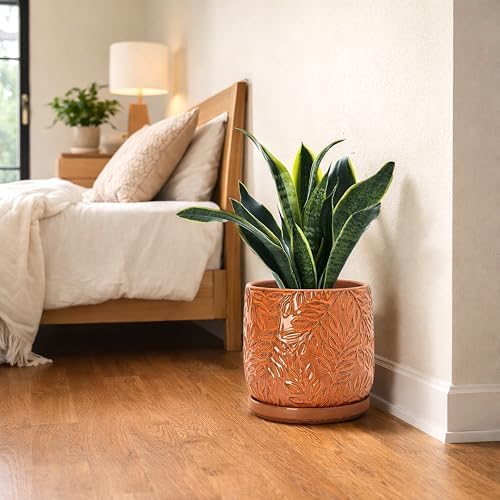 D'vine Dev Embossed Leaves Ceramic Planter, 8 in, Pumpkin, 27-A-Q-J