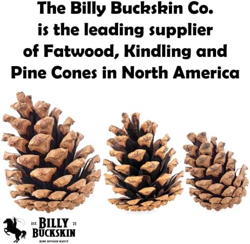 Billy Buckskin Natural Pine Cones for Decorating & Crafts 100-Pack Mix Size