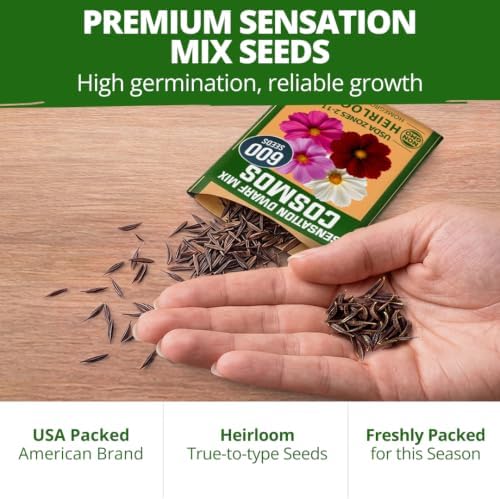 HOME GROWN Sensation Dwarf Mix Cosmos Seeds for Planting, 600 Seeds, Cosmos bipinnatus