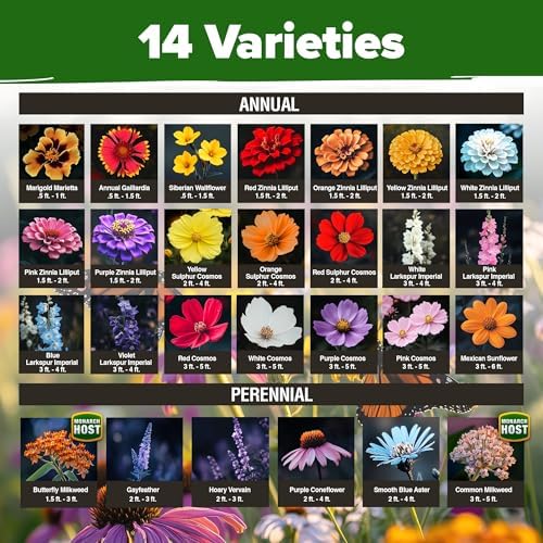 HOME GROWN Monarch Butterfly Wildflower Mix Seeds, 20,000+ Seeds, 2 oz