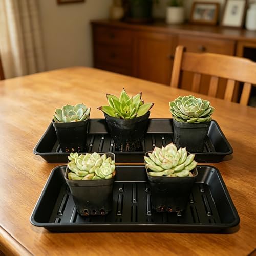 6 Pack Plastic Plant Trays Rectangular 14 Inch, Indoor Outdoor Plant Saucers with Drip Protection, Windowsill Planter Tray, 7 x 14.5 Inches, Black