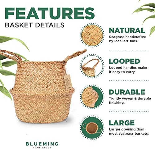 Medium Olive Tree Basket, Natural Woven Planter