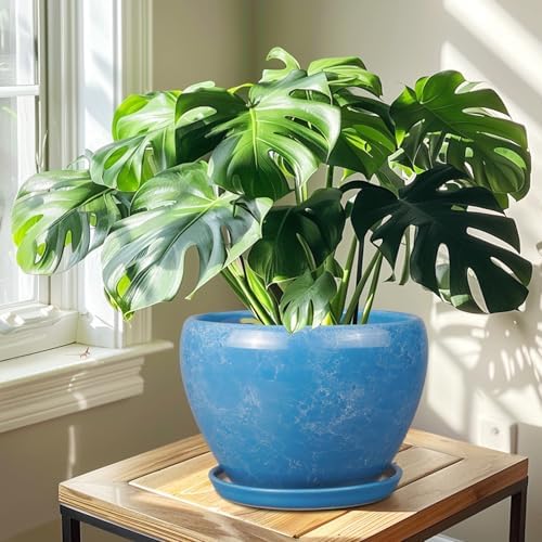Ceramicfor 10 Inch Planter Pot, Ceramic Pots for Plants with Drainage, Blue