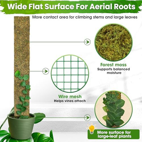 DUSPRO 59" Flat Mesh Moss Pole for Big Climbing Plants, (1pc., 59'')
