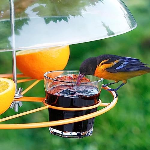 Large Diameter Bird Feeder Squirrel Guard, Easy Installation Clear Acrylic Bird Feeder Cover Protective Dome for Feeders