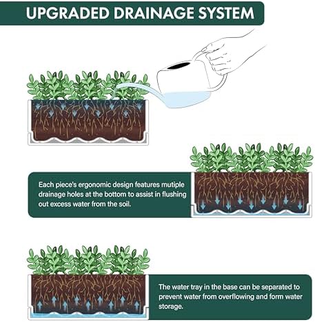 D'vine Dev Rectangular Planter, 12 x 4.5 in, Clear, Set of 1, 76-X-D-1