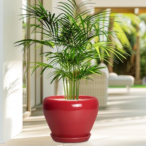 Ceramicfor Ceramic Planter for Indoor Plants, 8 Inch, Glossy Red