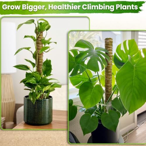 DUSPRO 2 Pack 22" Natural Stackable Moss Pole for Plants Monstera