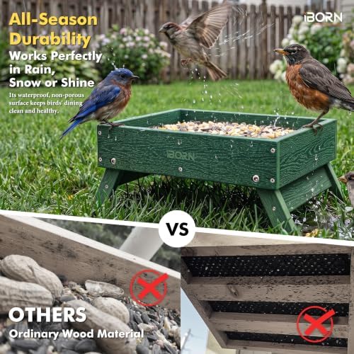 iBorn Ground Bird Feeder, Bird & Squirrel Platform Feeder for Outdoors, WPC Recycled Plastic, 3LB Large Capacity, Green