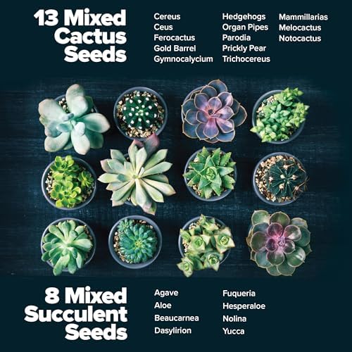 HOME GROWN Succulent & Cactus Seed Starter Kit, DIY Gardening Gift