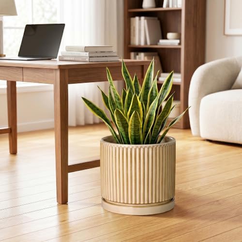 Ceramic Pots for Plants, 10 Inch Planters, Round Plant Pot, Beige