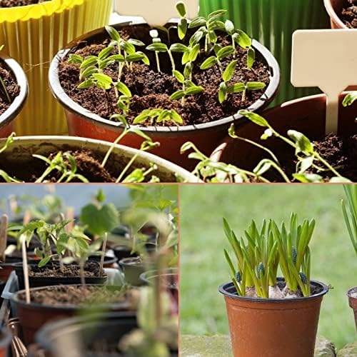 KINGLAKE 100 Pcs 4" Plastic Plants Nursery Pot/Pots Seedlings Flower Plant Container Seed Starting Pots,4 Inch,Red (Pack of 4)