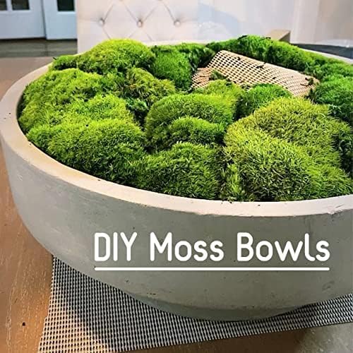 Preserved Pole Moss Pillow Bun Cushion Natural Green Decorative Real Natural Green DIY Kit Terrariums Gardenning Art