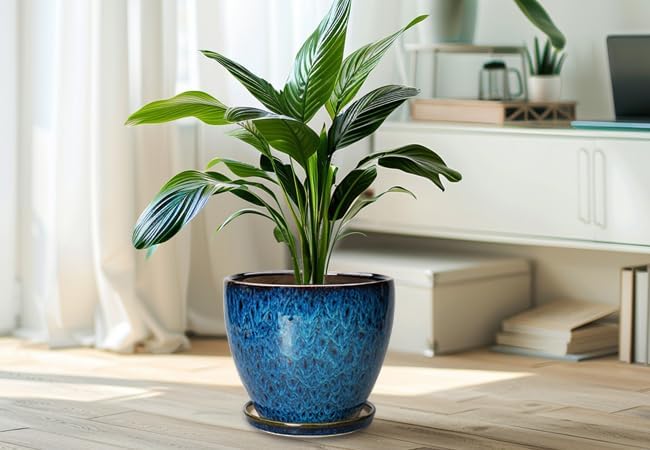 10 Inch Ceramic Planter Pot Round Plant Pot for Indoor Plants Outdoor Large Flower Pot with Drainage Hole and Saucer