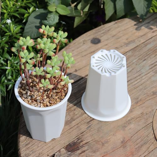 14 Pack 4.40 Inch White Plastic Deep Nursery and Seedling Pots, Round Planter Container for Transplanting, Cutting, Succulent