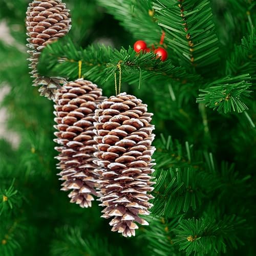 Large Pine Cones for Crafts, 9-12 Inch Extra Large Frosted Sugar Pinecones - Set of 3 Natural Pine Cones for Christmas Tree Ornaments, Vase Fillers, Rustic Home & Holiday Décor - Frosted