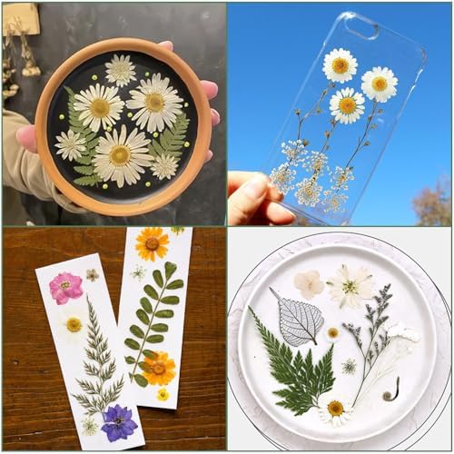 203 Pcs Dried Pressed Flowers for Resin Crafts, Real Natural Pressed Flowers and Leaves Kit Butterfly Stickers Vacuum Sealed Dry Flowers for DIY Epoxy Resin Jewelry Molds, Candle Soap Making, Nail Art