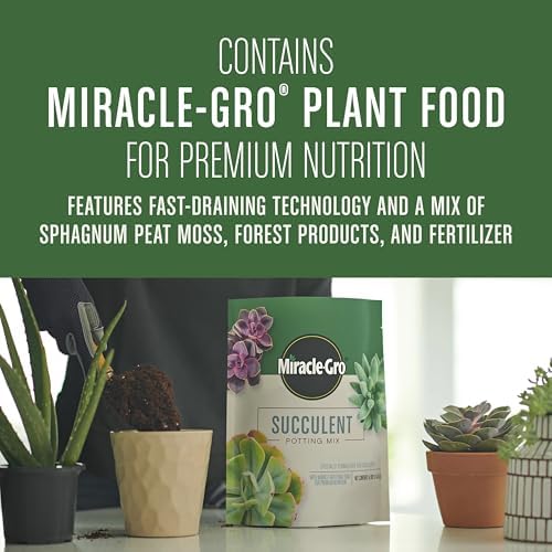 Gro Succulent Potting Mix - Potting Soil Mix for Indoor Succulents, Aloe Vera and More, Made with -Gro Plant Food, 4 qt. (Pack of 10)