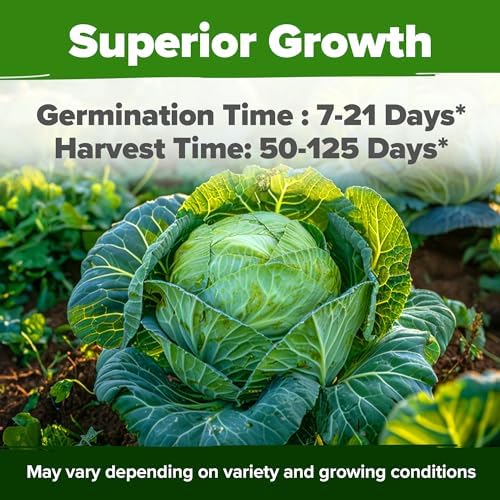 HOME GROWN Cabbage Seeds 7 Variety Mix 2000+ Heirloom Non-GMO, High Germination, Bok Choy, Red & Green Acre, Savoy, Napa Michihili, Copenhagen Market, Jersey Wakefield, Cold Hardy