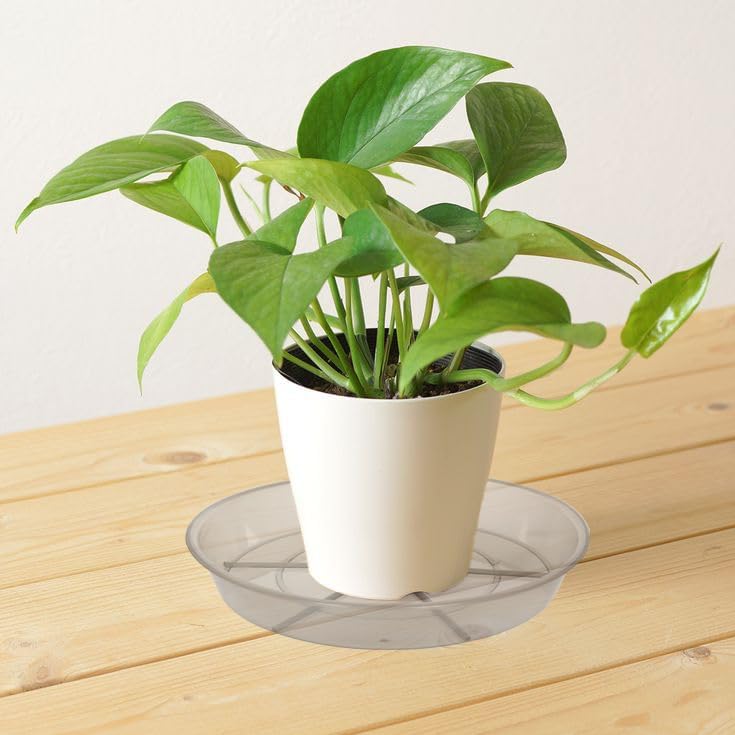 6 Pack Plant Saucer Drip Tray, 4 5 6 8 9 10 12 14 16 18 inch, Heavy Sturdy Plastic Planter Flower Pot Saucers for Indoor Outdoor Garden, Plant Water Drip Trays for pots Base (6", Grey)