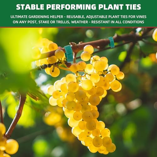 50 ft x 1/2 inch Reusable Plant Ties Roll for Indoor & Outdoor Plants, Non-Toxic Soft Garden Ties, Cut-to-Length Nylon Ties, Gentle Support for Climbing Plants, Tomato Peppers & Vines, Green