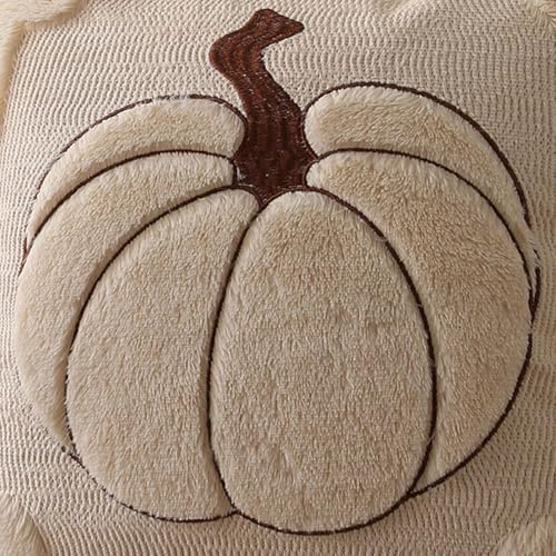 Allorry Fall Pillow Covers 18x18 2 Pack Beige Pumpkin Home Decor PT010A18