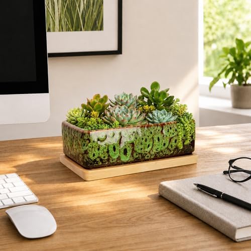 Succulent Pots, 7'' Large Long Rectangle Planters with Drainage Tray