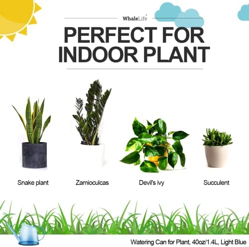 Small Indoor Plant Watering Can Long Spout 1.4L Light Blue