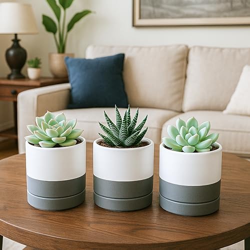 D'vine Dev 4.7 Inch Ceramic Planter Pot, White Grey, 94-O-B-6