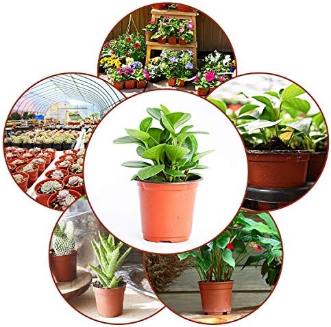 Augshy 130 Pcs 6 Inches Plastic Plant Nursery Pots, Seed Starting Container