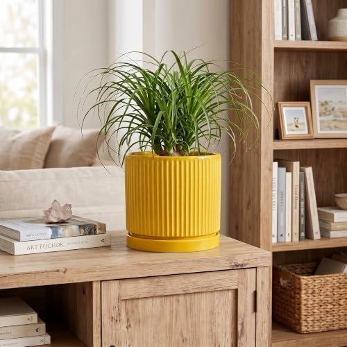 Ceramic Planter 8 Inch, Round Flower Pots with Saucer, Yellow