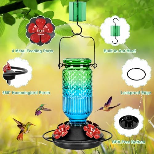 FEED GARDEN Glass Hummingbird Feeder for Outdoors, Leak-Resistant, 16 oz